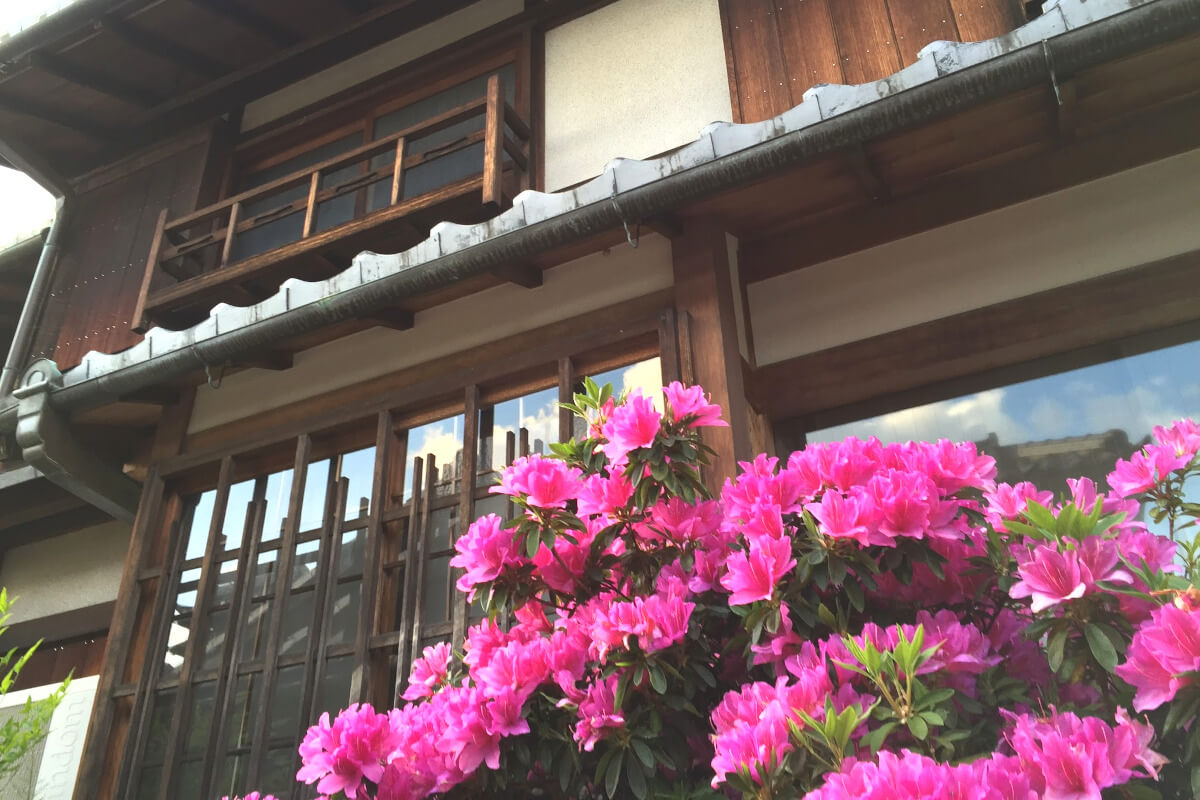 古風な家とツツジ